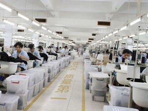 內衣廠家為何信賴波而朵 品質、創新與服務的三重保障